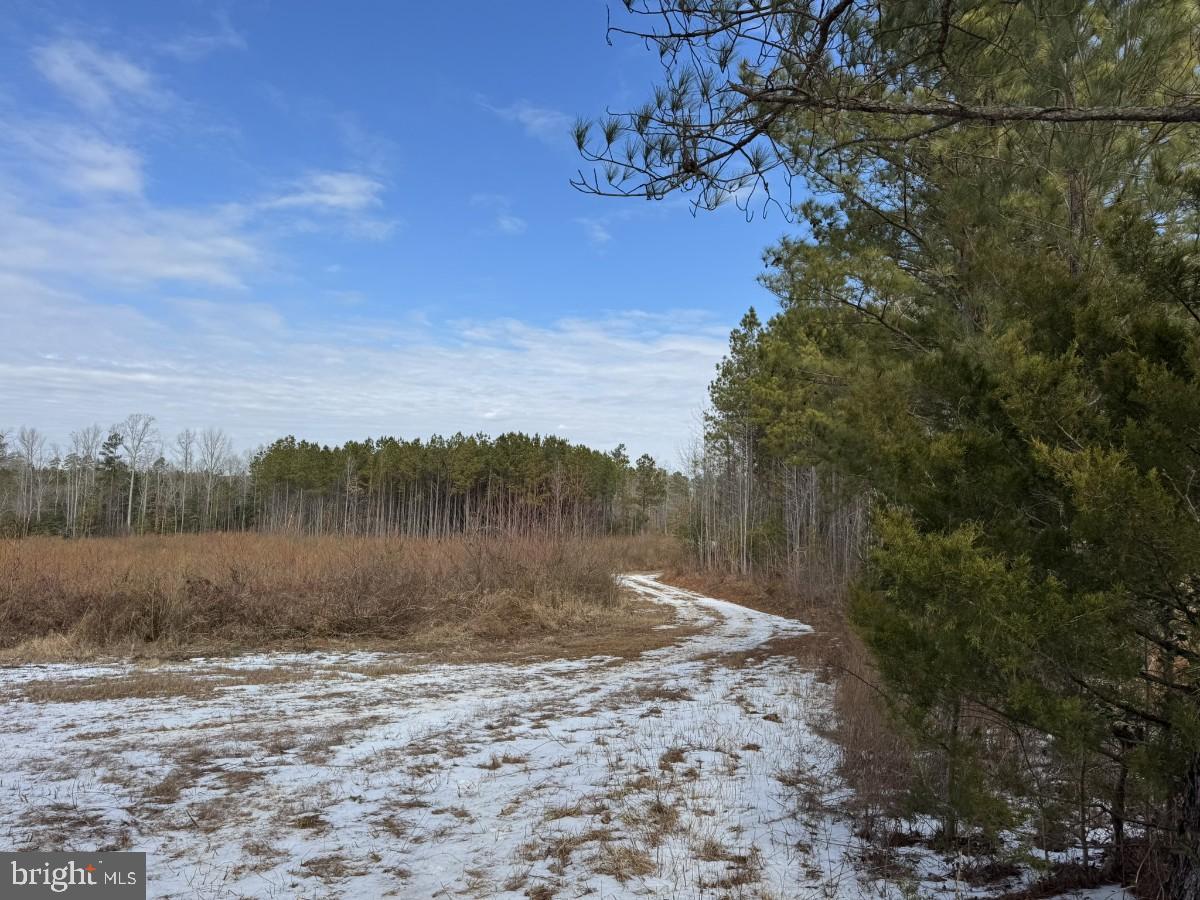 0 BENTON RD, TRIPLET, Virginia 23868, ,Farm,For Sale,0 BENTON RD,VABW2000100 MLS # VABW2000100