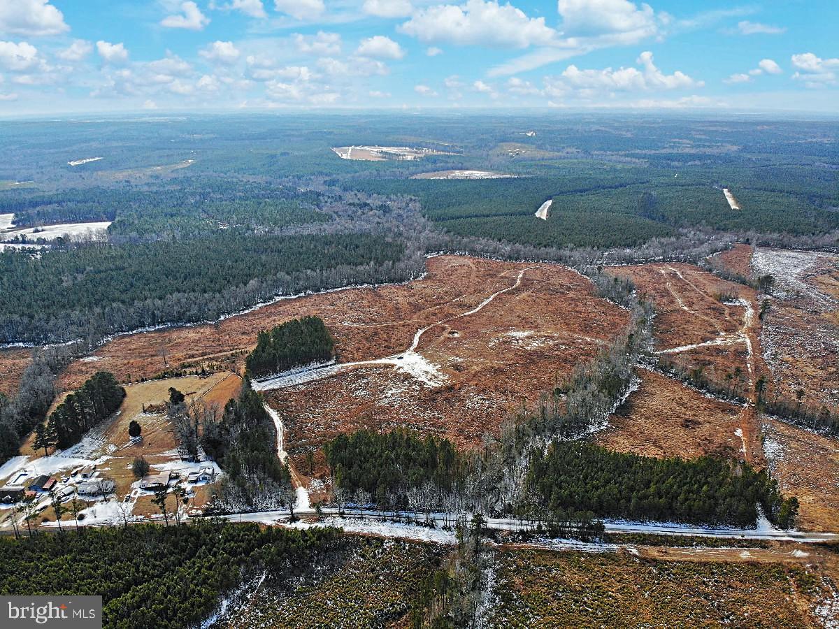 0 BENTON RD, TRIPLET, Virginia 23868, ,Farm,For Sale,0 BENTON RD,VABW2000100 MLS # VABW2000100