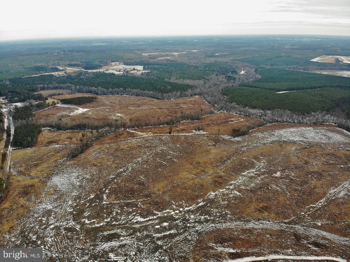 0 BENTON RD, TRIPLET, Virginia 23868, ,Farm,For Sale,0 BENTON RD,VABW2000100 MLS # VABW2000100