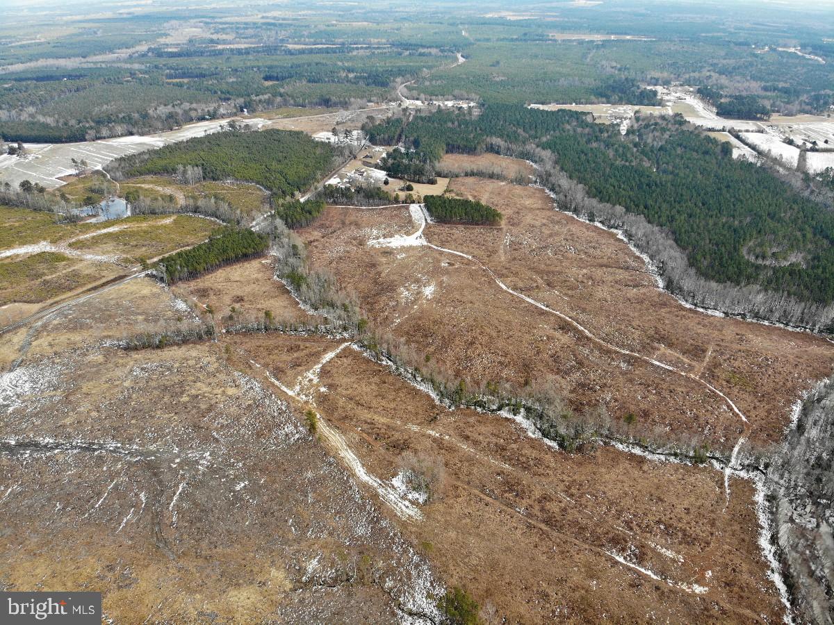 0 BENTON RD, TRIPLET, Virginia 23868, ,Farm,For Sale,0 BENTON RD,VABW2000100 MLS # VABW2000100