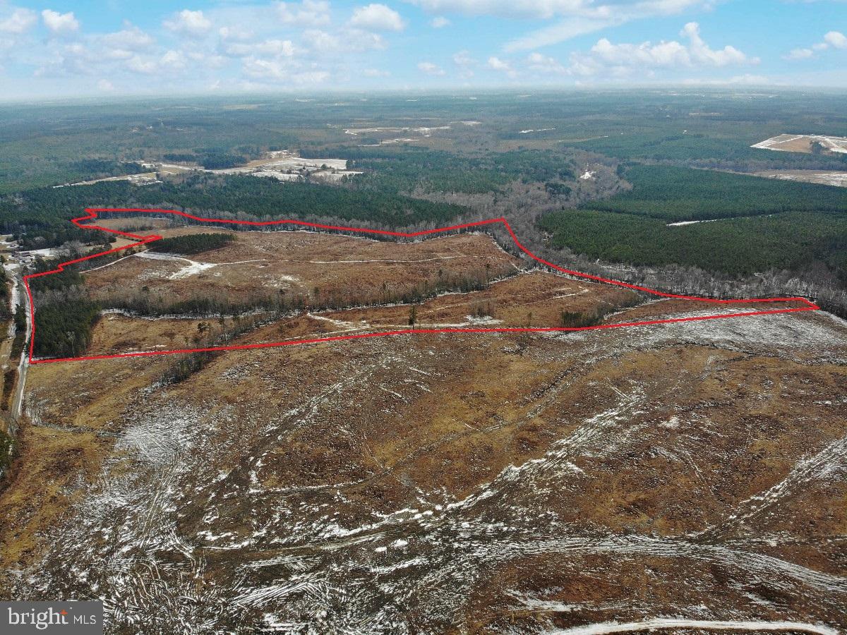 0 BENTON RD, TRIPLET, Virginia 23868, ,Farm,For Sale,0 BENTON RD,VABW2000100 MLS # VABW2000100