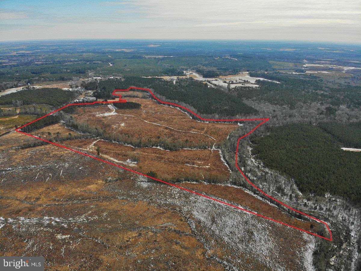 0 BENTON RD, TRIPLET, Virginia 23868, ,Farm,For Sale,0 BENTON RD,VABW2000100 MLS # VABW2000100