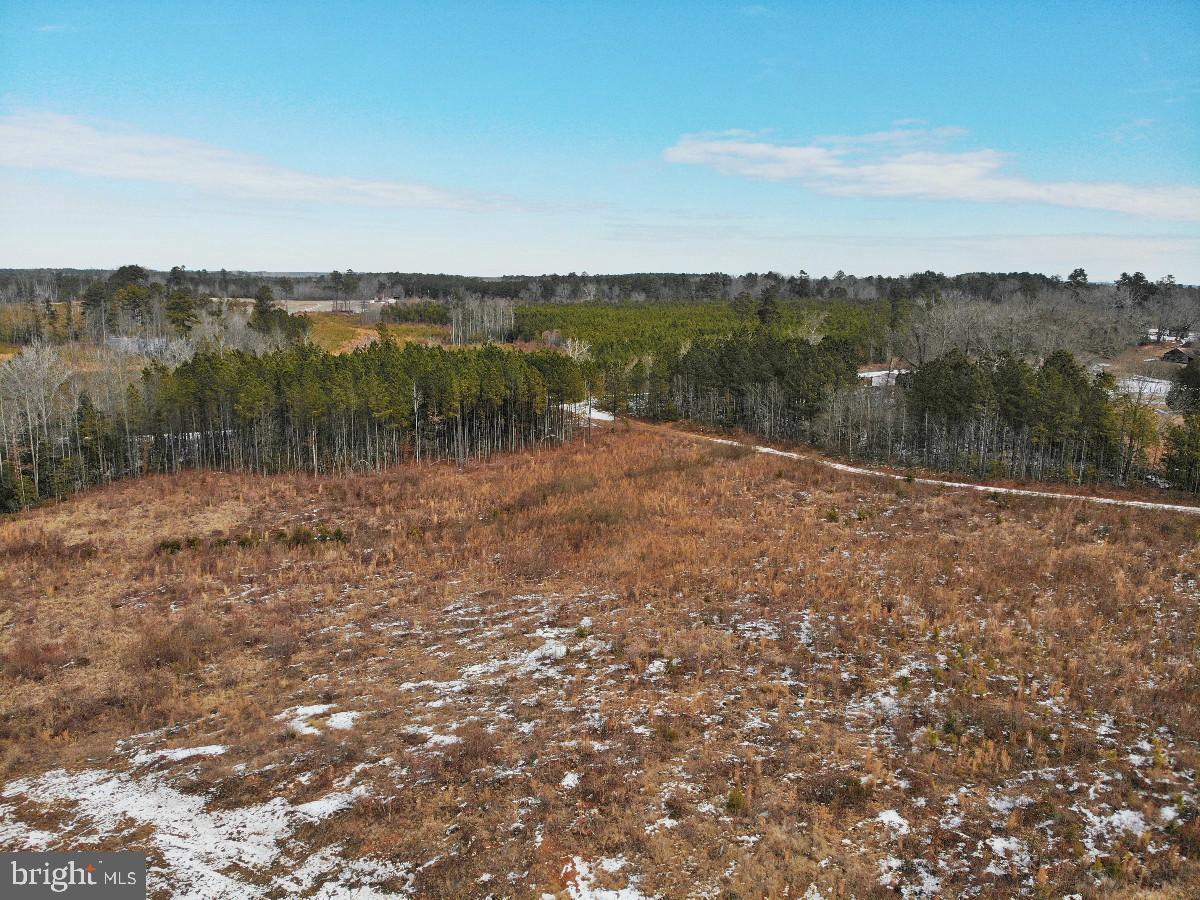 0 BENTON RD, TRIPLET, Virginia 23868, ,Farm,For Sale,0 BENTON RD,VABW2000100 MLS # VABW2000100