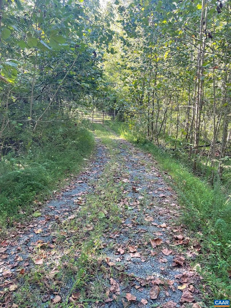 TBD STONY POINT PASS, KESWICK, Virginia 22947, ,Farm,For Sale,TBD STONY POINT PASS,673054 MLS # 673054