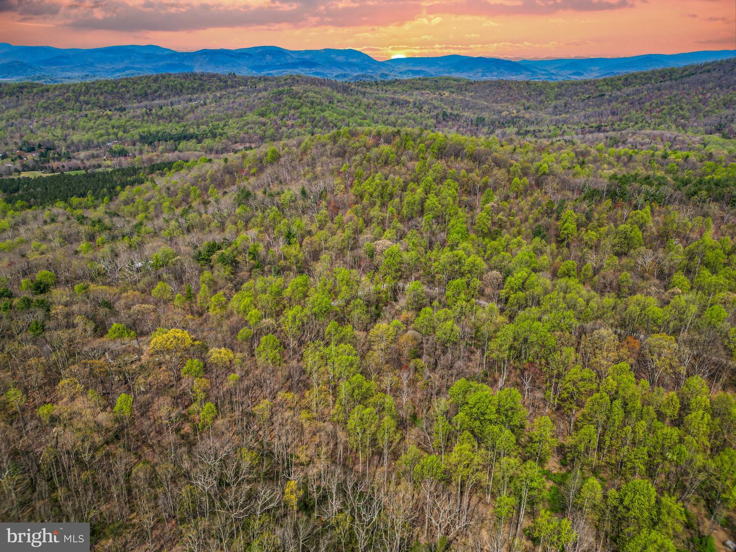 0 CASTLETON VIEW ROAD, CASTLETON, Virginia 22716, ,Land,For Sale,0 CASTLETON VIEW ROAD,VARP2002454 MLS # VARP2002454 0 CASTLETON VIEW ROAD, CASTLETON, Virginia 22716, ,Land,For Sale,0 CASTLETON VIEW ROAD,VARP2002454 MLS # VARP2002454