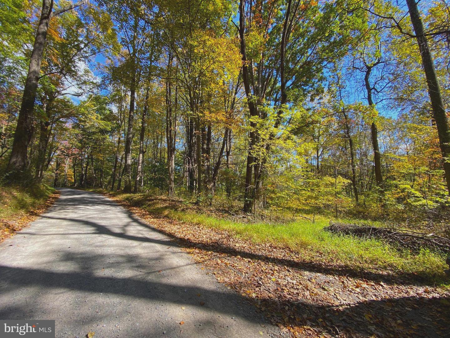 0 CASTLETON VIEW ROAD, CASTLETON, Virginia 22716, ,Land,For Sale,0 CASTLETON VIEW ROAD,VARP2002454 MLS # VARP2002454 0 CASTLETON VIEW ROAD, CASTLETON, Virginia 22716, ,Land,For Sale,0 CASTLETON VIEW ROAD,VARP2002454 MLS # VARP2002454