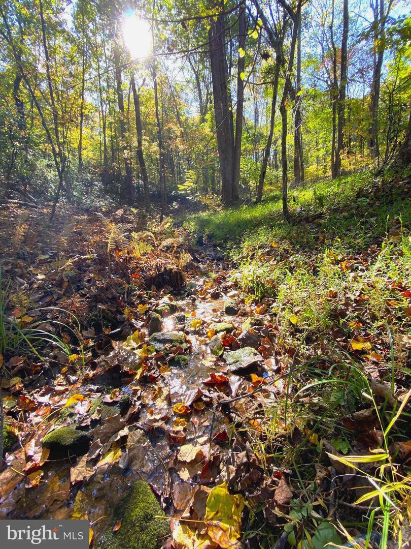 0 CASTLETON VIEW ROAD, CASTLETON, Virginia 22716, ,Land,For Sale,0 CASTLETON VIEW ROAD,VARP2002454 MLS # VARP2002454 0 CASTLETON VIEW ROAD, CASTLETON, Virginia 22716, ,Land,For Sale,0 CASTLETON VIEW ROAD,VARP2002454 MLS # VARP2002454