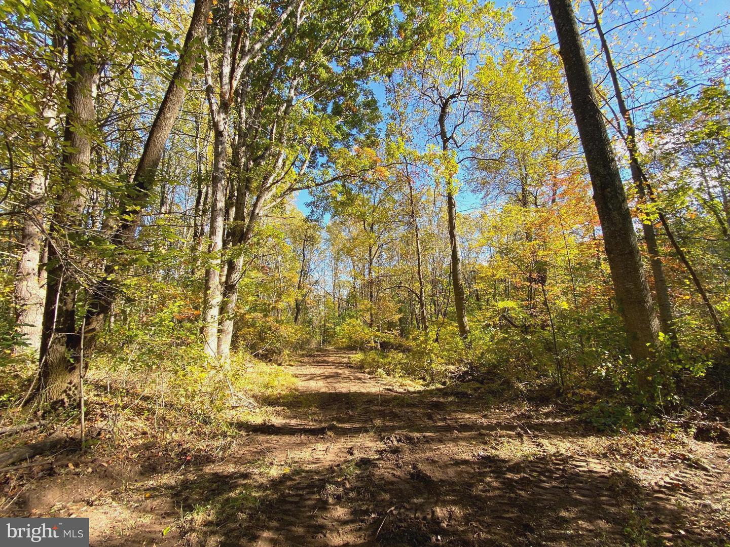 0 CASTLETON VIEW ROAD, CASTLETON, Virginia 22716, ,Land,For Sale,0 CASTLETON VIEW ROAD,VARP2002454 MLS # VARP2002454 0 CASTLETON VIEW ROAD, CASTLETON, Virginia 22716, ,Land,For Sale,0 CASTLETON VIEW ROAD,VARP2002454 MLS # VARP2002454