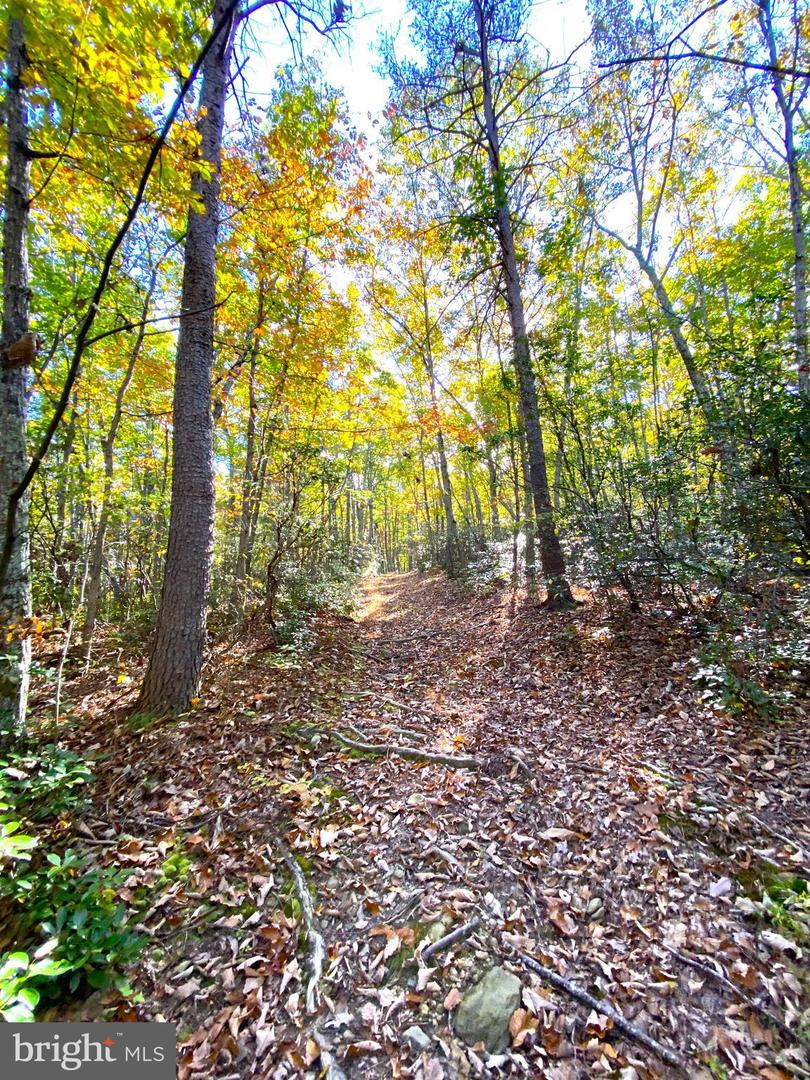 0 CASTLETON VIEW ROAD, CASTLETON, Virginia 22716, ,Land,For Sale,0 CASTLETON VIEW ROAD,VARP2002454 MLS # VARP2002454 0 CASTLETON VIEW ROAD, CASTLETON, Virginia 22716, ,Land,For Sale,0 CASTLETON VIEW ROAD,VARP2002454 MLS # VARP2002454