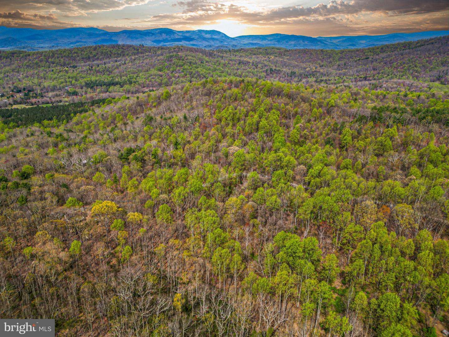 0 CASTLETON VIEW ROAD, CASTLETON, Virginia 22716, ,Land,For Sale,0 CASTLETON VIEW ROAD,VARP2002454 MLS # VARP2002454 0 CASTLETON VIEW ROAD, CASTLETON, Virginia 22716, ,Land,For Sale,0 CASTLETON VIEW ROAD,VARP2002454 MLS # VARP2002454