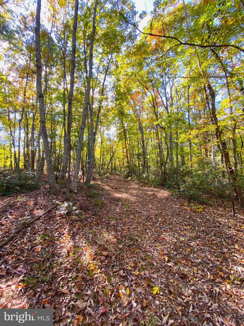 0 CASTLETON VIEW ROAD, CASTLETON, Virginia 22716, ,Land,For Sale,0 CASTLETON VIEW ROAD,VARP2002454 MLS # VARP2002454 0 CASTLETON VIEW ROAD, CASTLETON, Virginia 22716, ,Land,For Sale,0 CASTLETON VIEW ROAD,VARP2002454 MLS # VARP2002454