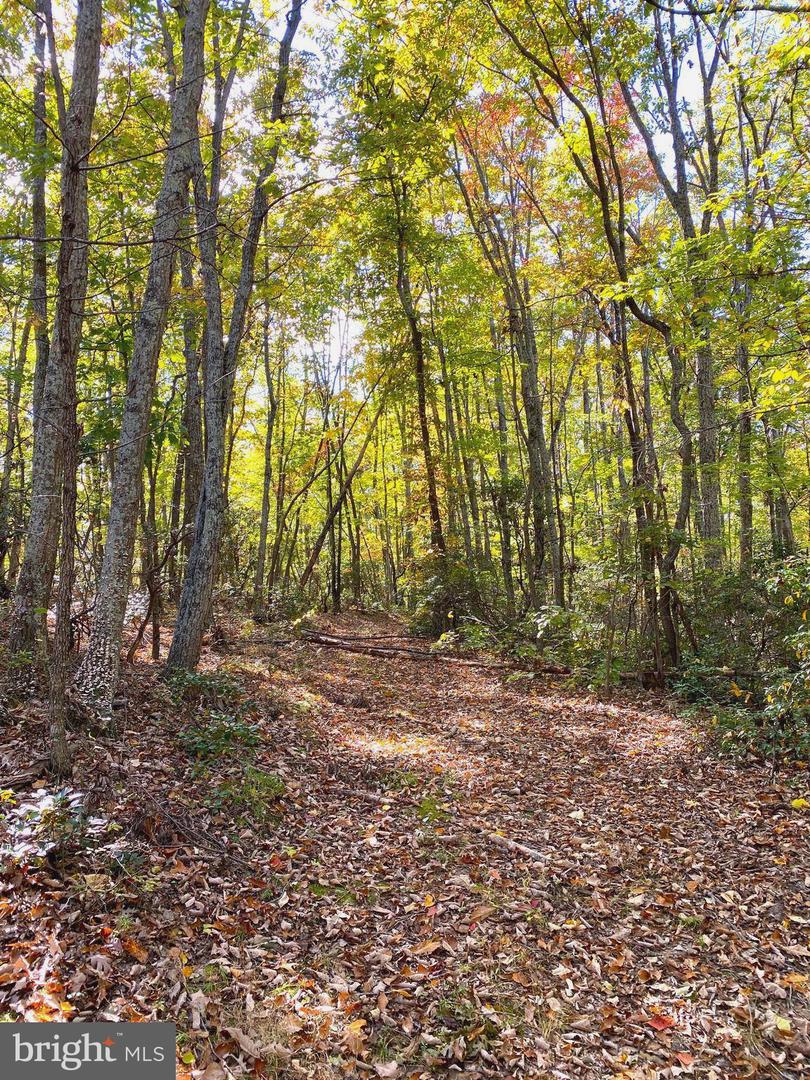 0 CASTLETON VIEW ROAD, CASTLETON, Virginia 22716, ,Land,For Sale,0 CASTLETON VIEW ROAD,VARP2002454 MLS # VARP2002454 0 CASTLETON VIEW ROAD, CASTLETON, Virginia 22716, ,Land,For Sale,0 CASTLETON VIEW ROAD,VARP2002454 MLS # VARP2002454