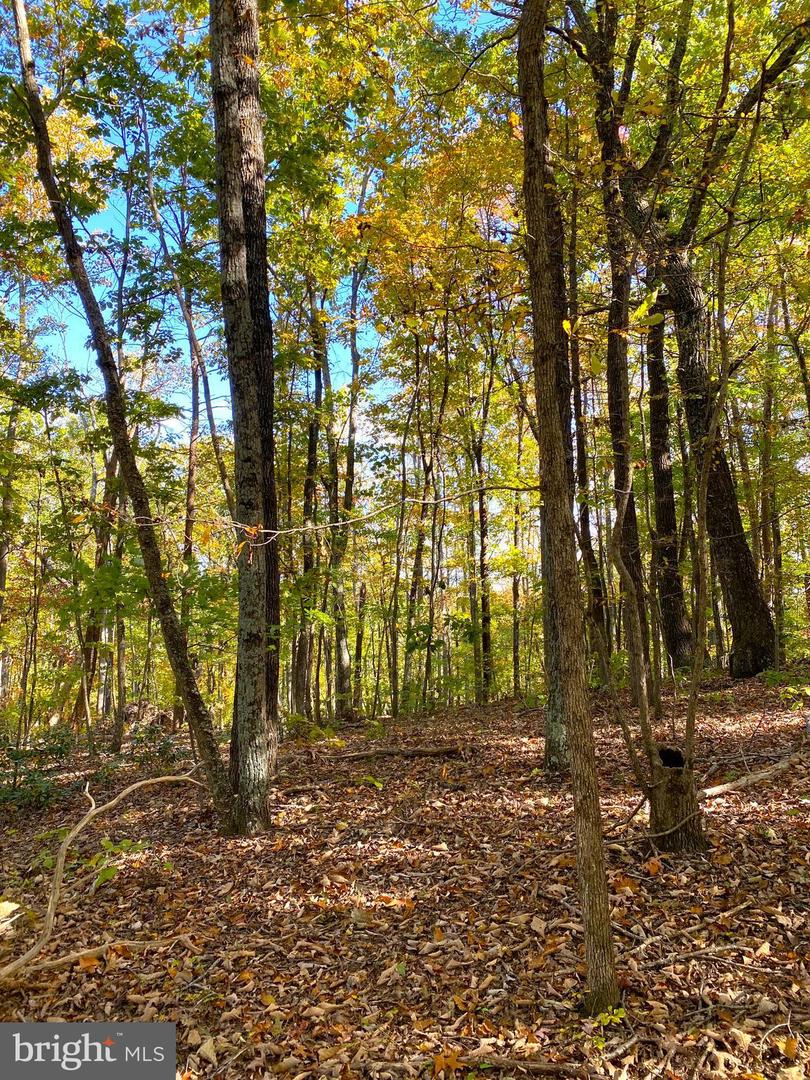 0 CASTLETON VIEW ROAD, CASTLETON, Virginia 22716, ,Land,For Sale,0 CASTLETON VIEW ROAD,VARP2002454 MLS # VARP2002454 0 CASTLETON VIEW ROAD, CASTLETON, Virginia 22716, ,Land,For Sale,0 CASTLETON VIEW ROAD,VARP2002454 MLS # VARP2002454