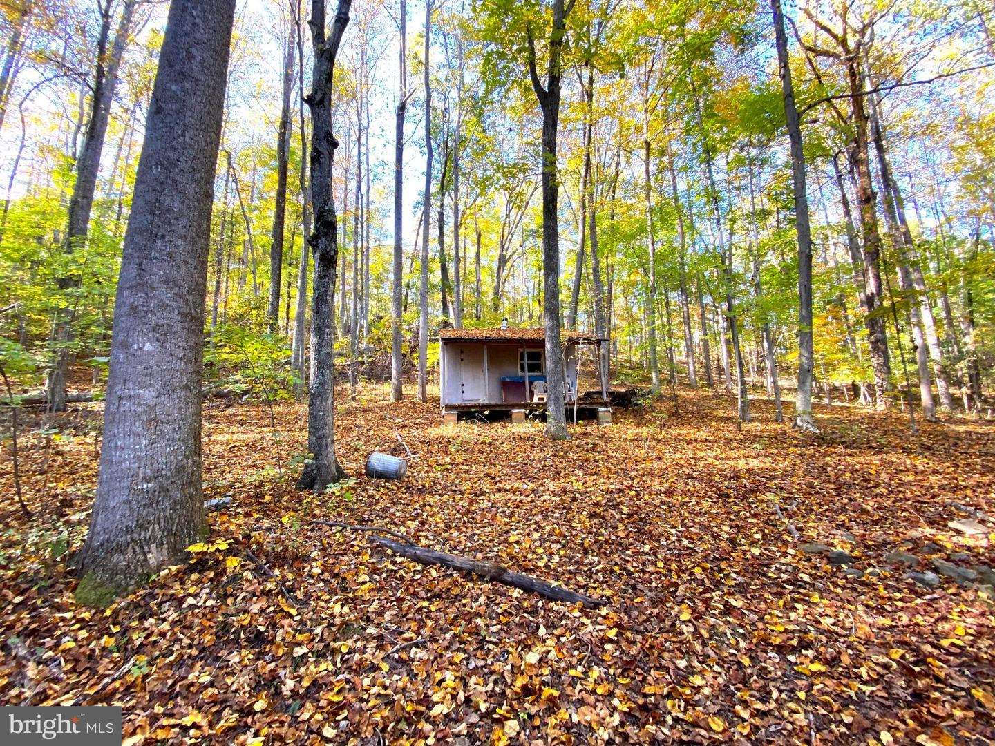 0 CASTLETON VIEW ROAD, CASTLETON, Virginia 22716, ,Land,For Sale,0 CASTLETON VIEW ROAD,VARP2002454 MLS # VARP2002454 0 CASTLETON VIEW ROAD, CASTLETON, Virginia 22716, ,Land,For Sale,0 CASTLETON VIEW ROAD,VARP2002454 MLS # VARP2002454