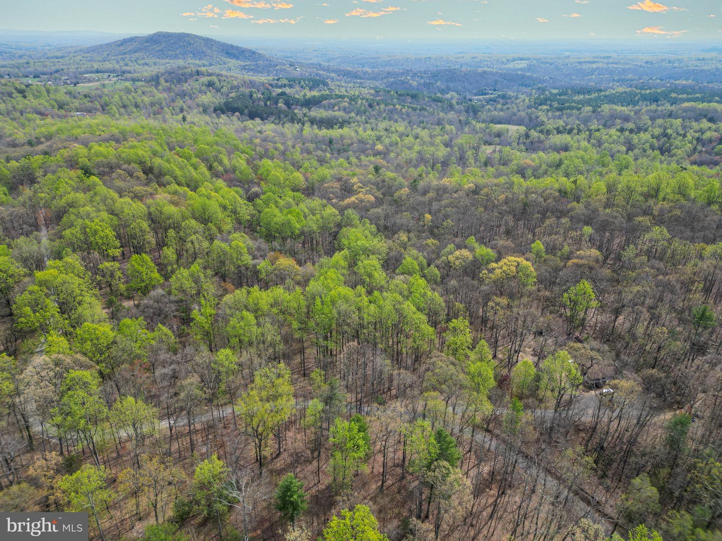 0 CASTLETON VIEW ROAD, CASTLETON, Virginia 22716, ,Land,For Sale,0 CASTLETON VIEW ROAD,VARP2002454 MLS # VARP2002454 0 CASTLETON VIEW ROAD, CASTLETON, Virginia 22716, ,Land,For Sale,0 CASTLETON VIEW ROAD,VARP2002454 MLS # VARP2002454