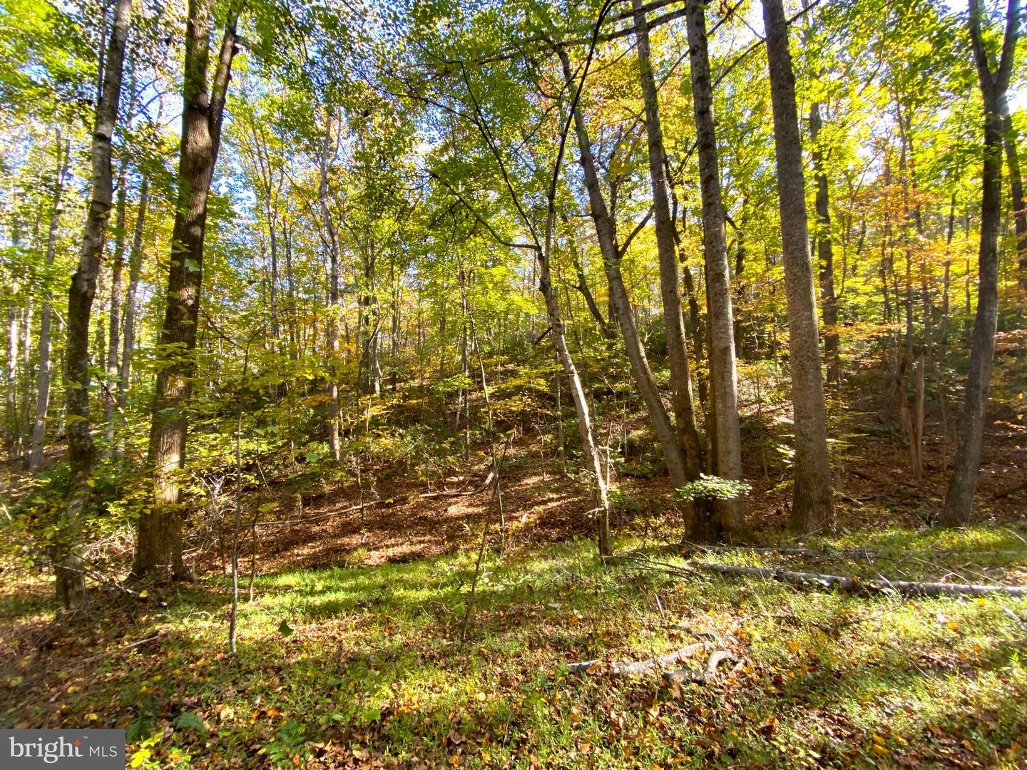 0 CASTLETON VIEW ROAD, CASTLETON, Virginia 22716, ,Land,For Sale,0 CASTLETON VIEW ROAD,VARP2002454 MLS # VARP2002454 0 CASTLETON VIEW ROAD, CASTLETON, Virginia 22716, ,Land,For Sale,0 CASTLETON VIEW ROAD,VARP2002454 MLS # VARP2002454