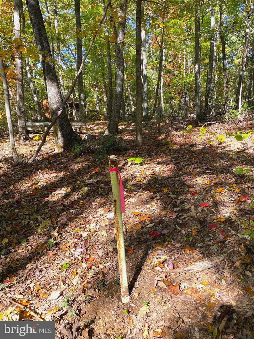 0 CASTLETON VIEW ROAD, CASTLETON, Virginia 22716, ,Land,For Sale,0 CASTLETON VIEW ROAD,VARP2002454 MLS # VARP2002454 0 CASTLETON VIEW ROAD, CASTLETON, Virginia 22716, ,Land,For Sale,0 CASTLETON VIEW ROAD,VARP2002454 MLS # VARP2002454