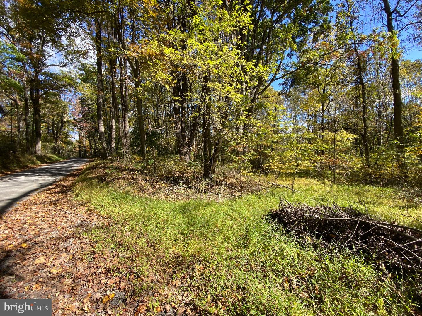0 CASTLETON VIEW ROAD, CASTLETON, Virginia 22716, ,Land,For Sale,0 CASTLETON VIEW ROAD,VARP2002454 MLS # VARP2002454 0 CASTLETON VIEW ROAD, CASTLETON, Virginia 22716, ,Land,For Sale,0 CASTLETON VIEW ROAD,VARP2002454 MLS # VARP2002454