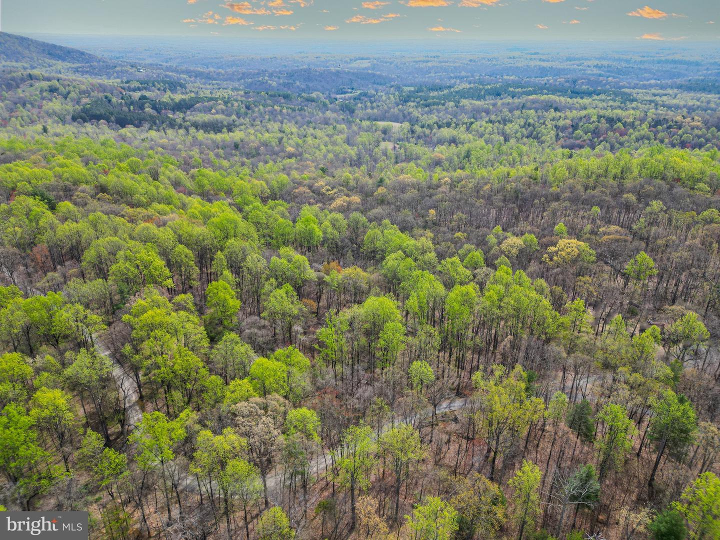 0 CASTLETON VIEW ROAD, CASTLETON, Virginia 22716, ,Land,For Sale,0 CASTLETON VIEW ROAD,VARP2002454 MLS # VARP2002454 0 CASTLETON VIEW ROAD, CASTLETON, Virginia 22716, ,Land,For Sale,0 CASTLETON VIEW ROAD,VARP2002454 MLS # VARP2002454