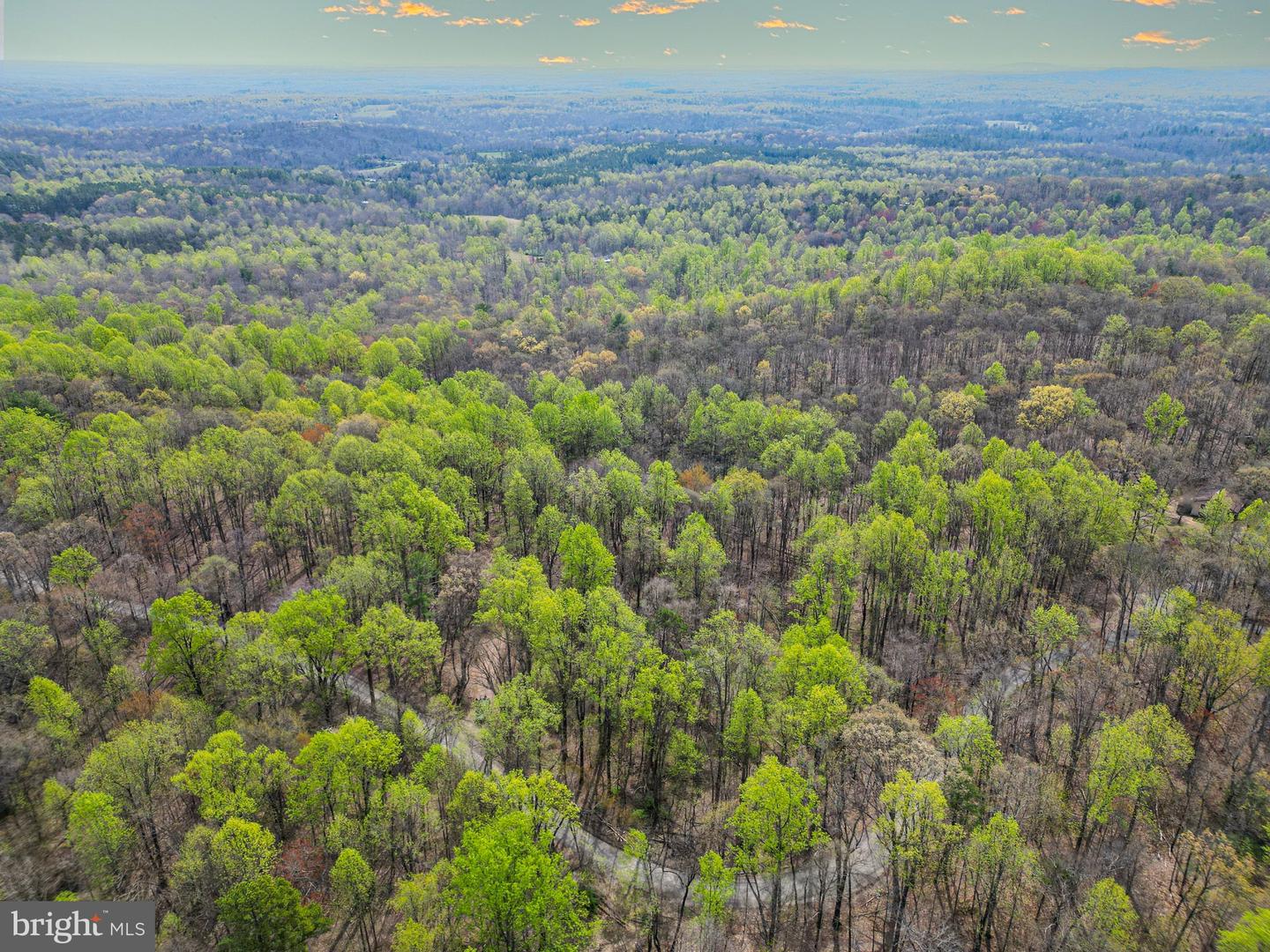 0 CASTLETON VIEW ROAD, CASTLETON, Virginia 22716, ,Land,For Sale,0 CASTLETON VIEW ROAD,VARP2002454 MLS # VARP2002454 0 CASTLETON VIEW ROAD, CASTLETON, Virginia 22716, ,Land,For Sale,0 CASTLETON VIEW ROAD,VARP2002454 MLS # VARP2002454