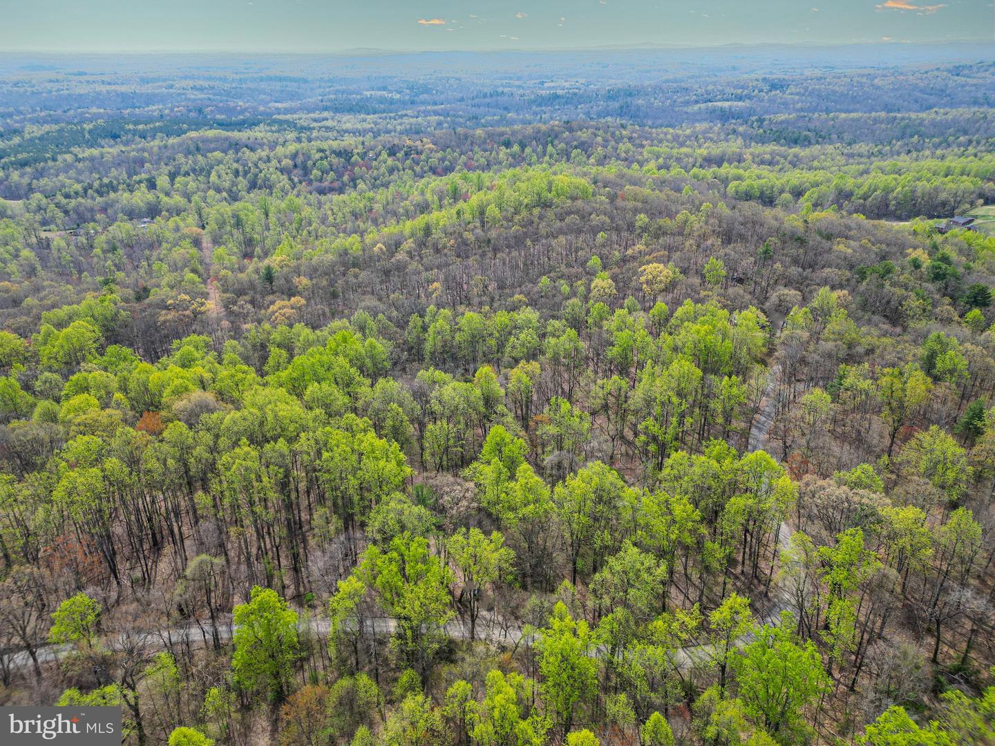 0 CASTLETON VIEW ROAD, CASTLETON, Virginia 22716, ,Land,For Sale,0 CASTLETON VIEW ROAD,VARP2002454 MLS # VARP2002454 0 CASTLETON VIEW ROAD, CASTLETON, Virginia 22716, ,Land,For Sale,0 CASTLETON VIEW ROAD,VARP2002454 MLS # VARP2002454