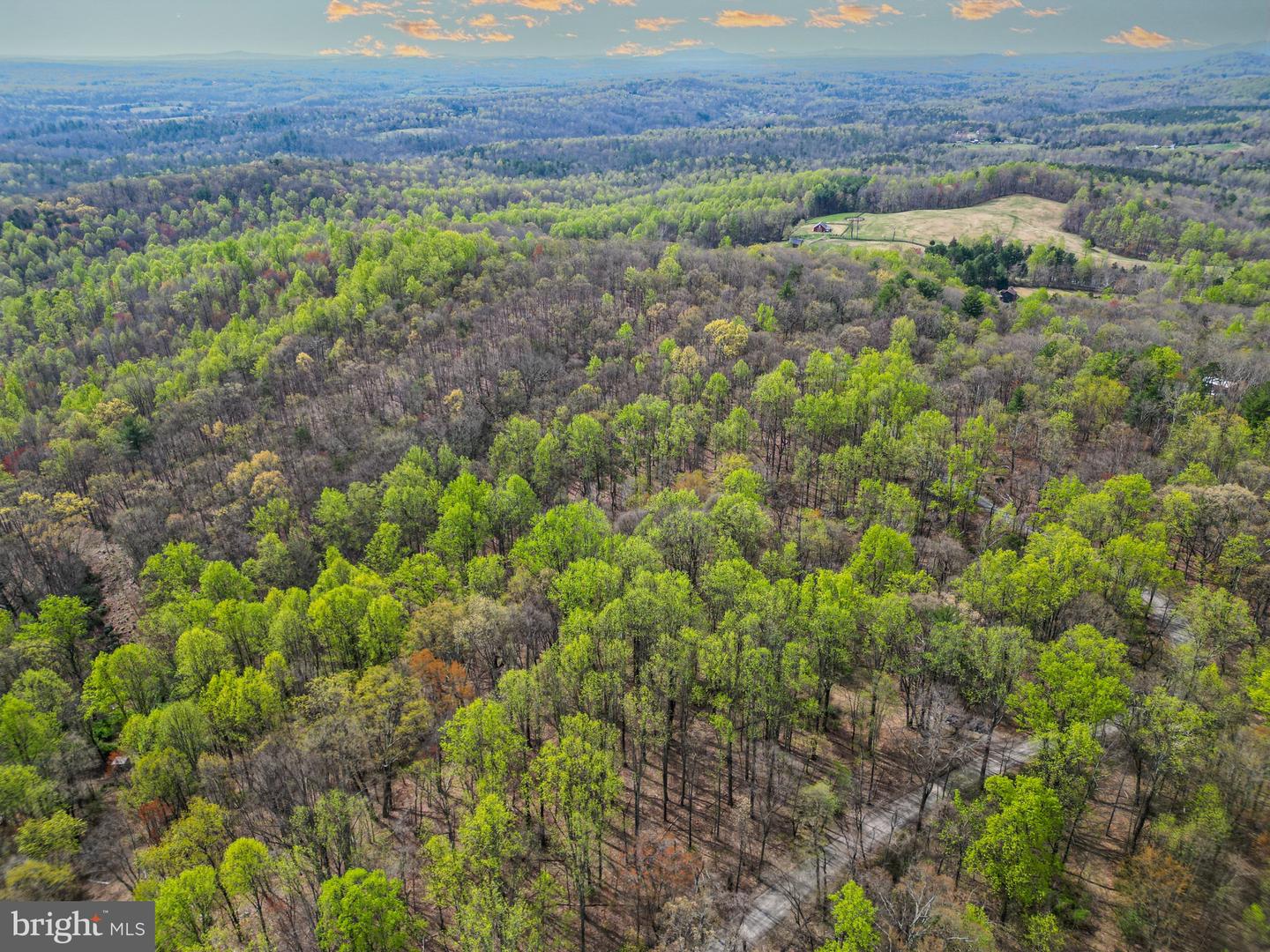 0 CASTLETON VIEW ROAD, CASTLETON, Virginia 22716, ,Land,For Sale,0 CASTLETON VIEW ROAD,VARP2002454 MLS # VARP2002454 0 CASTLETON VIEW ROAD, CASTLETON, Virginia 22716, ,Land,For Sale,0 CASTLETON VIEW ROAD,VARP2002454 MLS # VARP2002454
