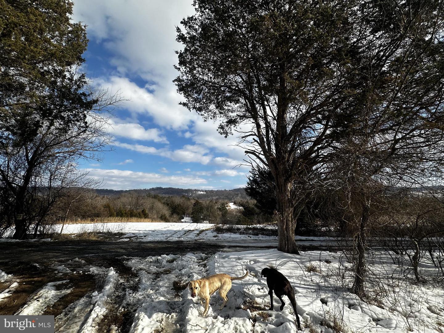 0 BOOTH RD, LOVETTSVILLE, Virginia 20180, ,Farm,For Sale,0 BOOTH RD,VALO2115628 MLS # VALO2115628