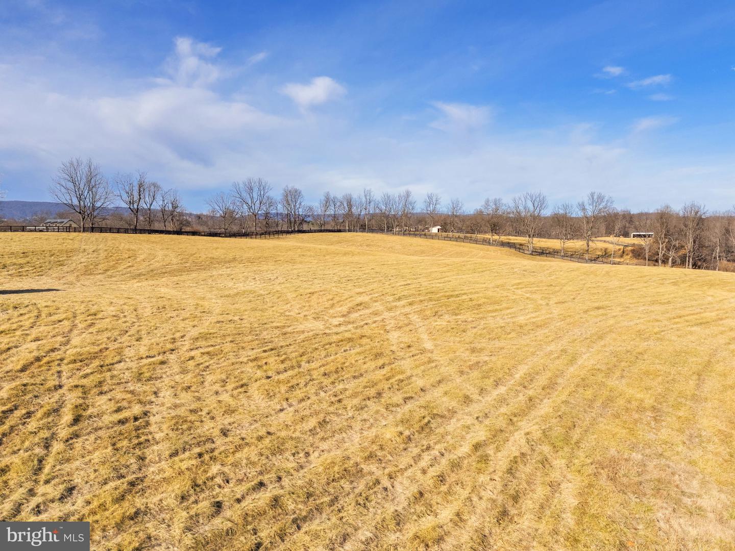 21051 ST LOUIS RD, MIDDLEBURG, Virginia 20117, 5 Bedrooms Bedrooms, ,5 BathroomsBathrooms,Residential,For Sale,21051 ST LOUIS RD,VALO2114338 MLS # VALO2114338