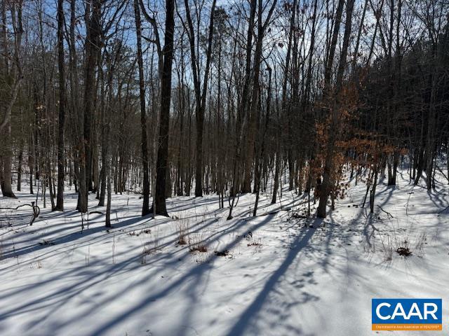 REDBIRD DR, GLADSTONE, Virginia 24553, ,Farm,For Sale,REDBIRD DR,673203 MLS # 673203 REDBIRD DR, GLADSTONE, Virginia 24553, ,Farm,For Sale,REDBIRD DR,673203 MLS # 673203