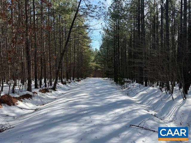 REDBIRD DR, GLADSTONE, Virginia 24553, ,Farm,For Sale,REDBIRD DR,673203 MLS # 673203 REDBIRD DR, GLADSTONE, Virginia 24553, ,Farm,For Sale,REDBIRD DR,673203 MLS # 673203