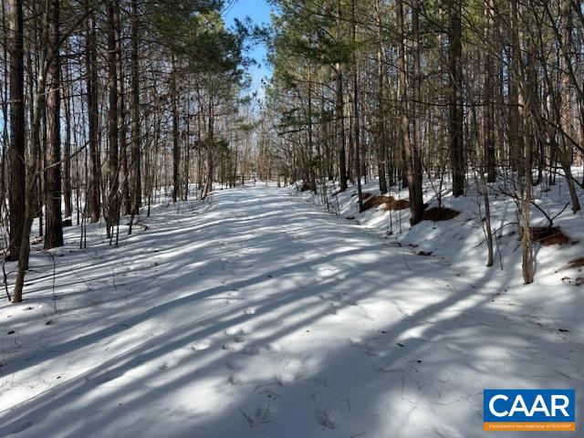 REDBIRD DR, GLADSTONE, Virginia 24553, ,Farm,For Sale,REDBIRD DR,673203 MLS # 673203 REDBIRD DR, GLADSTONE, Virginia 24553, ,Farm,For Sale,REDBIRD DR,673203 MLS # 673203