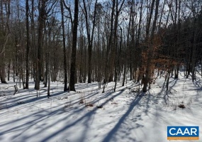 REDBIRD DR, GLADSTONE, Virginia 24553, ,Farm,For Sale,REDBIRD DR,673203 MLS # 673203 REDBIRD DR, GLADSTONE, Virginia 24553, ,Farm,For Sale,REDBIRD DR,673203 MLS # 673203