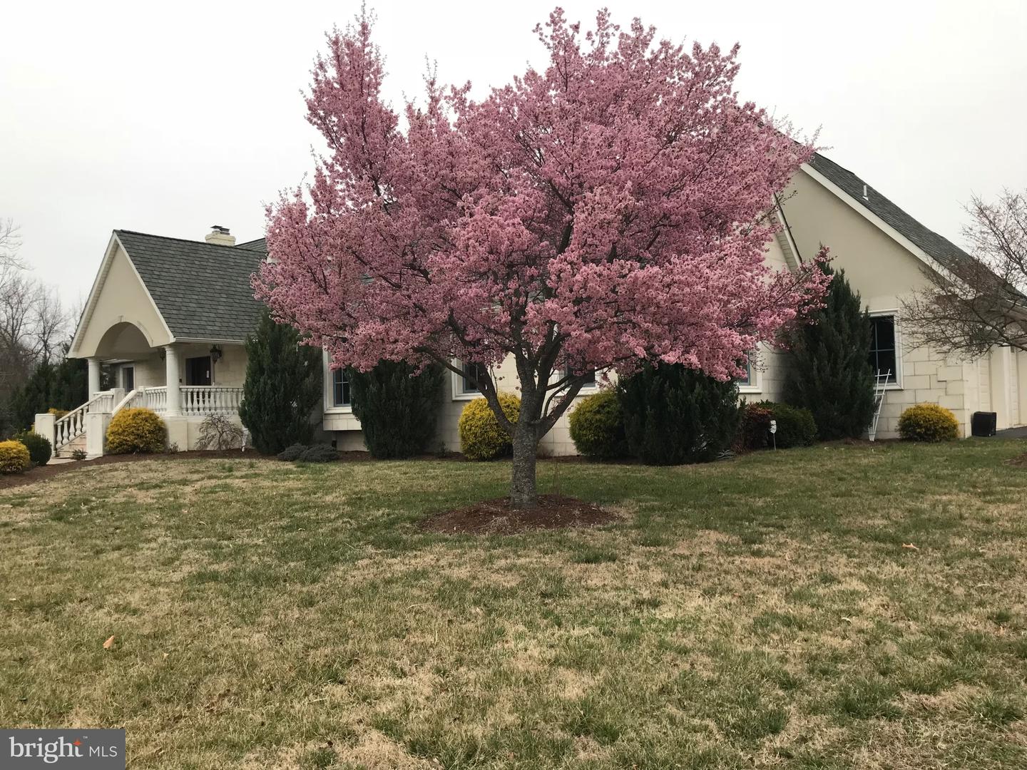 8071 WINDSOR DR, KING GEORGE, Virginia 22485, 5 Bedrooms Bedrooms, 16 Rooms Rooms,4 BathroomsBathrooms,Residential,For Sale,8071 WINDSOR DR,VAKG2007432 MLS # VAKG2007432