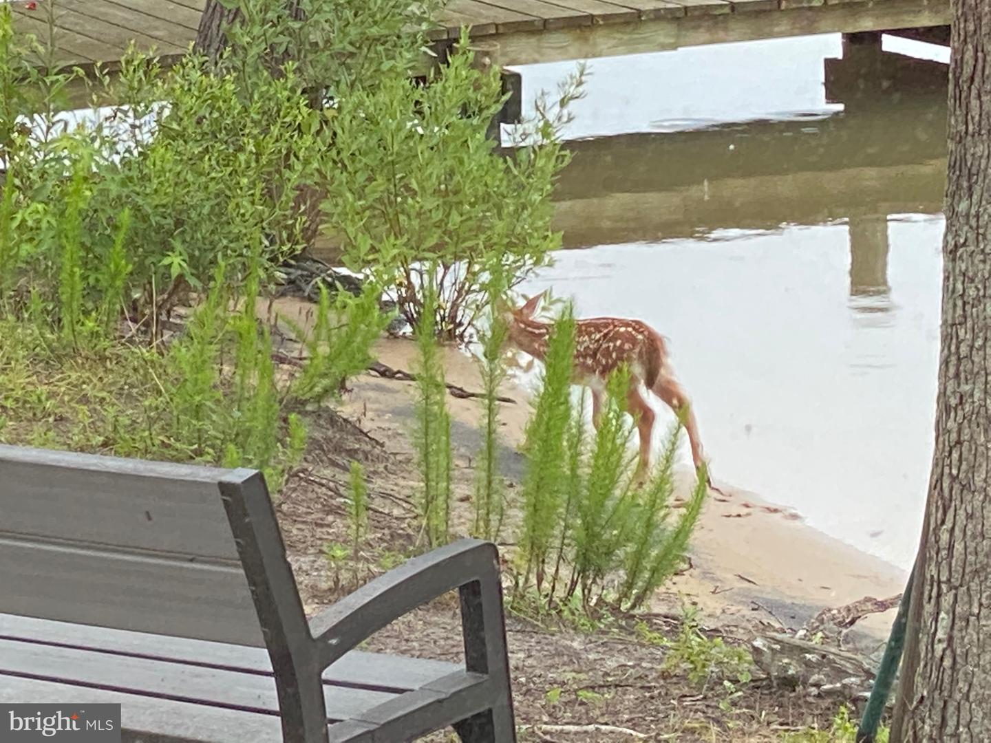 8071 WINDSOR DR, KING GEORGE, Virginia 22485, 5 Bedrooms Bedrooms, 16 Rooms Rooms,4 BathroomsBathrooms,Residential,For Sale,8071 WINDSOR DR,VAKG2007432 MLS # VAKG2007432