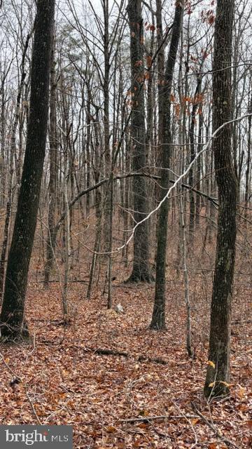 0 MOUNTAIN TRACK RD, ORANGE, Virginia 22960, ,Land,For Sale,0 MOUNTAIN TRACK RD,VAOR2013246 MLS # VAOR2013246