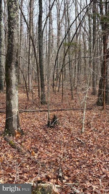 0 MOUNTAIN TRACK RD, ORANGE, Virginia 22960, ,Land,For Sale,0 MOUNTAIN TRACK RD,VAOR2013246 MLS # VAOR2013246