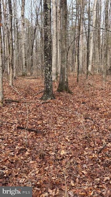 0 MOUNTAIN TRACK RD, ORANGE, Virginia 22960, ,Land,For Sale,0 MOUNTAIN TRACK RD,VAOR2013246 MLS # VAOR2013246