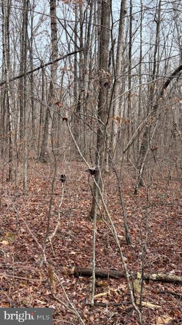 0 MOUNTAIN TRACK RD, ORANGE, Virginia 22960, ,Land,For Sale,0 MOUNTAIN TRACK RD,VAOR2013246 MLS # VAOR2013246