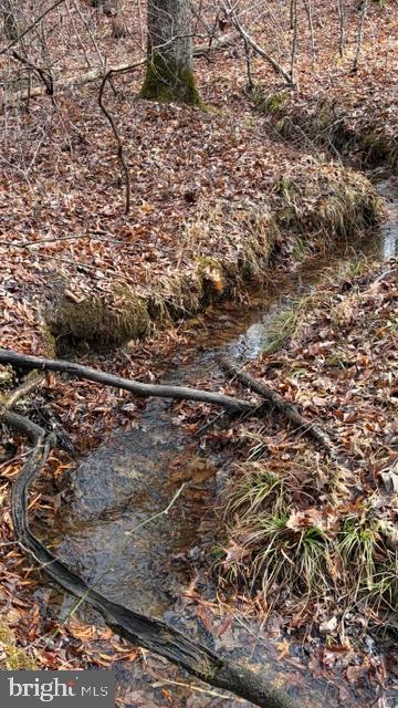 0 MOUNTAIN TRACK RD, ORANGE, Virginia 22960, ,Land,For Sale,0 MOUNTAIN TRACK RD,VAOR2013246 MLS # VAOR2013246