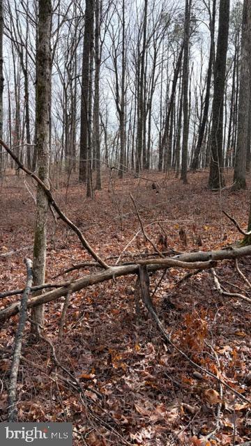 0 MOUNTAIN TRACK RD, ORANGE, Virginia 22960, ,Land,For Sale,0 MOUNTAIN TRACK RD,VAOR2013248 MLS # VAOR2013248