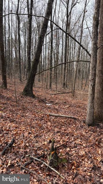 0 MOUNTAIN TRACK RD, ORANGE, Virginia 22960, ,Land,For Sale,0 MOUNTAIN TRACK RD,VAOR2013248 MLS # VAOR2013248