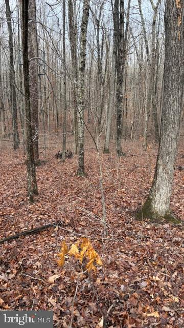 0 MOUNTAIN TRACK RD, ORANGE, Virginia 22960, ,Land,For Sale,0 MOUNTAIN TRACK RD,VAOR2013248 MLS # VAOR2013248