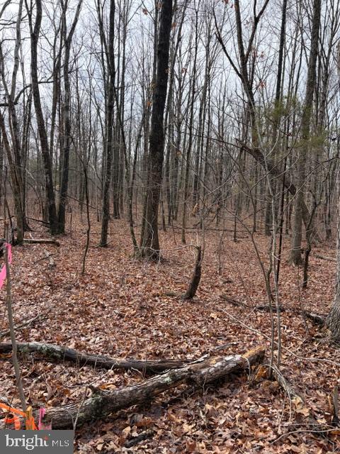 0 MOUNTAIN TRACK RD, ORANGE, Virginia 22960, ,Land,For Sale,0 MOUNTAIN TRACK RD,VAOR2013248 MLS # VAOR2013248