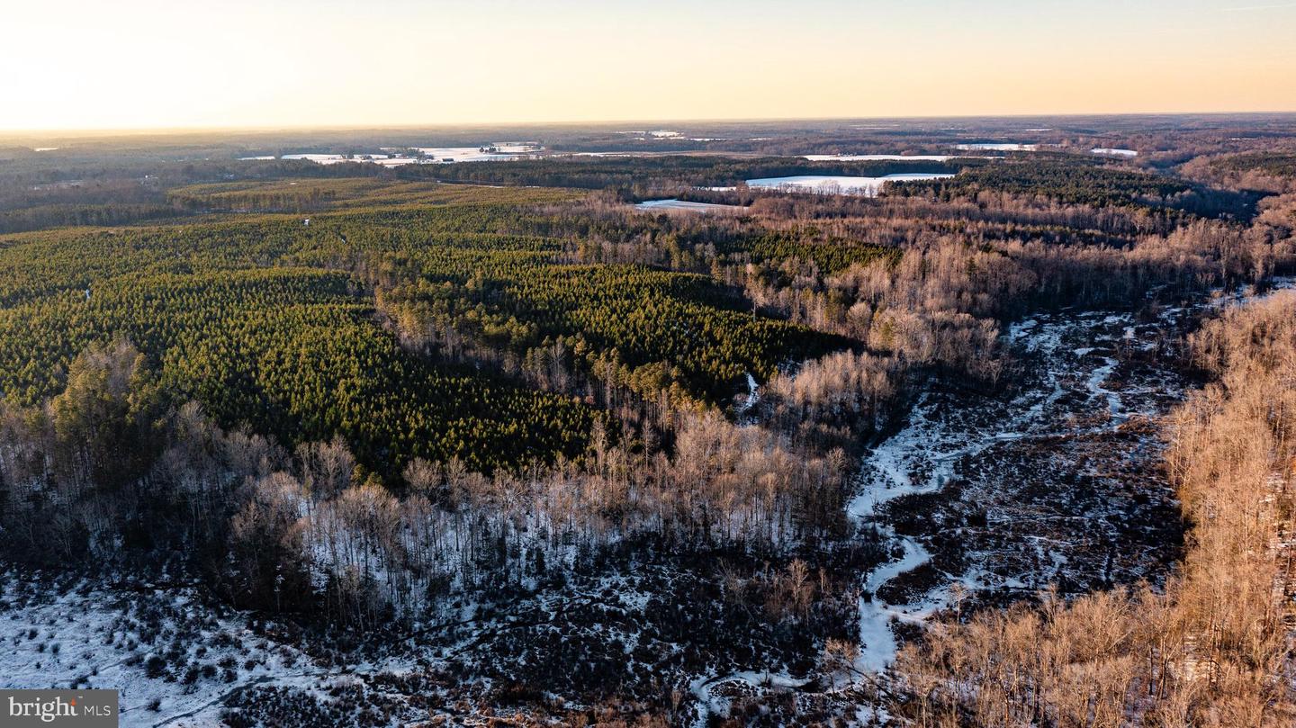 TBD SPARTA RD, MILFORD, Virginia 22514, ,Farm,For Sale,TBD SPARTA RD,VACV2009536 MLS # VACV2009536 TBD SPARTA RD, MILFORD, Virginia 22514, ,Farm,For Sale,TBD SPARTA RD,VACV2009536 MLS # VACV2009536