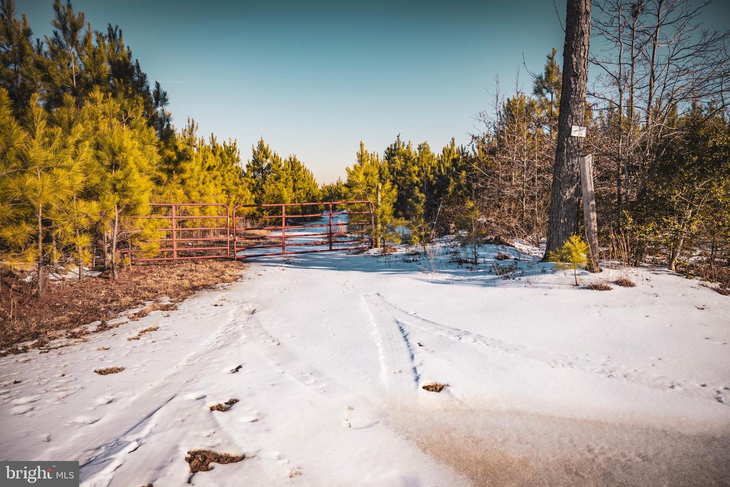 TBD SPARTA RD, MILFORD, Virginia 22514, ,Farm,For Sale,TBD SPARTA RD,VACV2009536 MLS # VACV2009536 TBD SPARTA RD, MILFORD, Virginia 22514, ,Farm,For Sale,TBD SPARTA RD,VACV2009536 MLS # VACV2009536