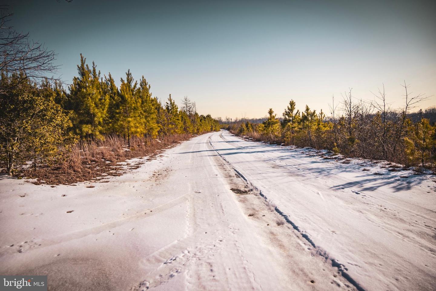 TBD SPARTA RD, MILFORD, Virginia 22514, ,Farm,For Sale,TBD SPARTA RD,VACV2009536 MLS # VACV2009536 TBD SPARTA RD, MILFORD, Virginia 22514, ,Farm,For Sale,TBD SPARTA RD,VACV2009536 MLS # VACV2009536