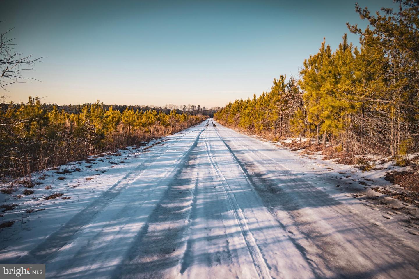 TBD SPARTA RD, MILFORD, Virginia 22514, ,Farm,For Sale,TBD SPARTA RD,VACV2009536 MLS # VACV2009536 TBD SPARTA RD, MILFORD, Virginia 22514, ,Farm,For Sale,TBD SPARTA RD,VACV2009536 MLS # VACV2009536