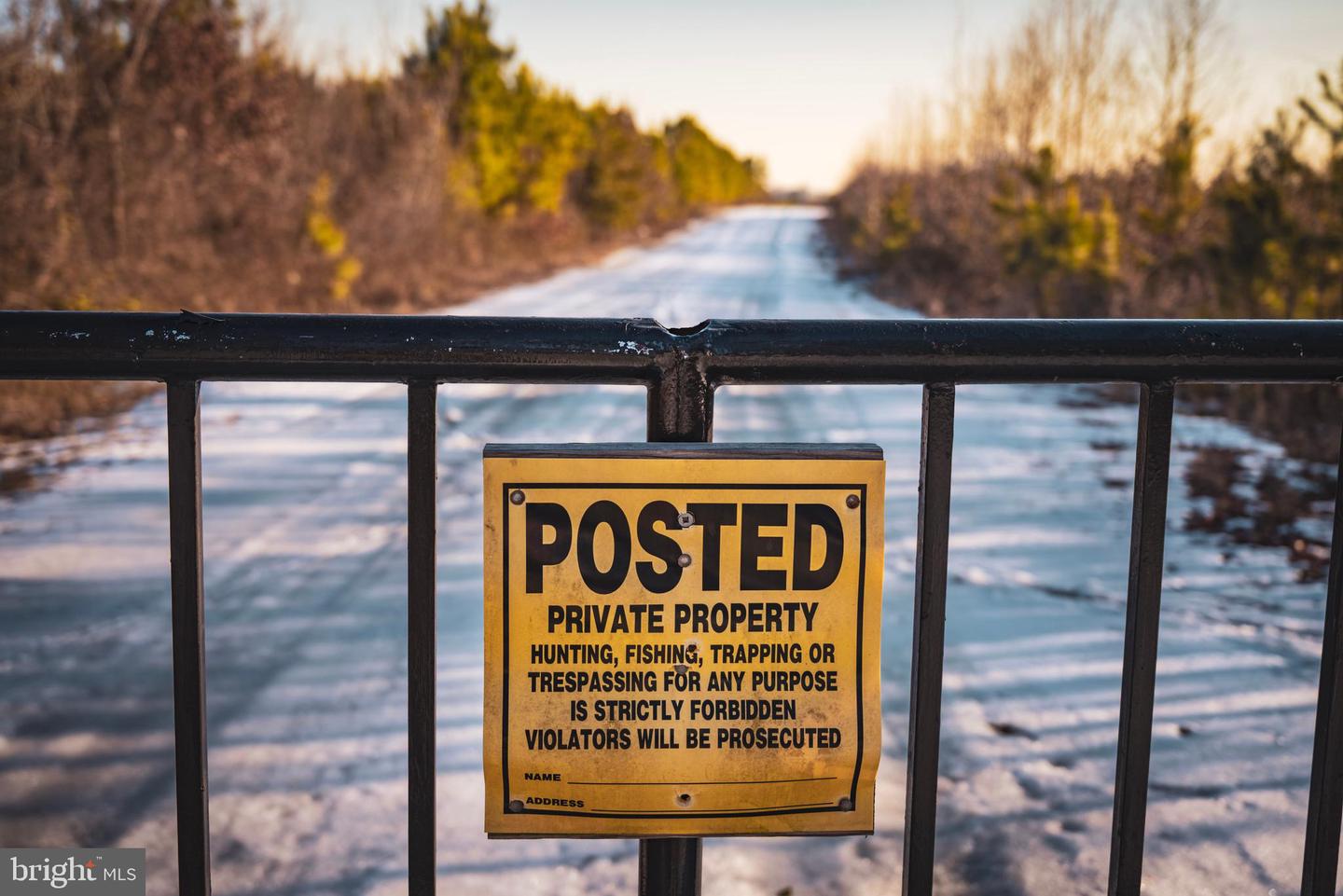 TBD SPARTA RD, MILFORD, Virginia 22514, ,Farm,For Sale,TBD SPARTA RD,VACV2009536 MLS # VACV2009536 TBD SPARTA RD, MILFORD, Virginia 22514, ,Farm,For Sale,TBD SPARTA RD,VACV2009536 MLS # VACV2009536