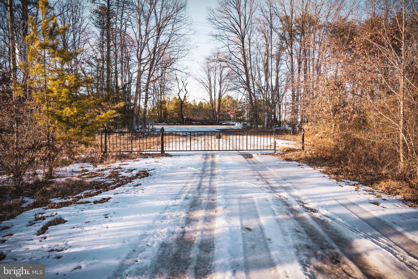 TBD SPARTA RD, MILFORD, Virginia 22514, ,Farm,For Sale,TBD SPARTA RD,VACV2009536 MLS # VACV2009536 TBD SPARTA RD, MILFORD, Virginia 22514, ,Farm,For Sale,TBD SPARTA RD,VACV2009536 MLS # VACV2009536