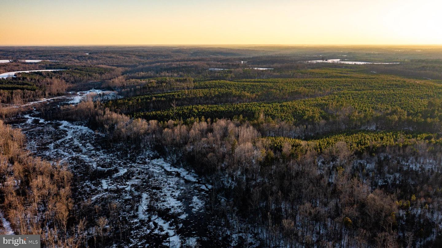 TBD SPARTA RD, MILFORD, Virginia 22514, ,Farm,For Sale,TBD SPARTA RD,VACV2009536 MLS # VACV2009536 TBD SPARTA RD, MILFORD, Virginia 22514, ,Farm,For Sale,TBD SPARTA RD,VACV2009536 MLS # VACV2009536